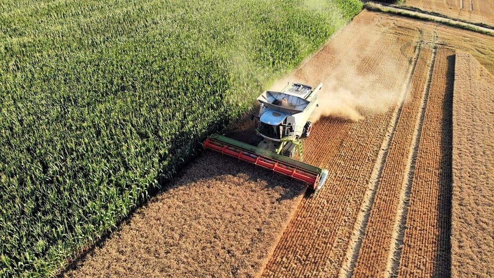 agricoltura umbria, fondi 2026